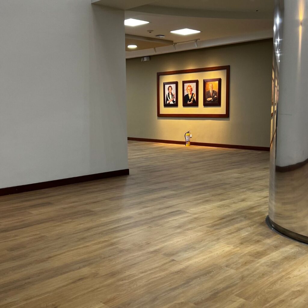 9 Pisos En Vinilo, Pvc, Cerámica, Laminado Y Spc De Las Marcas Nexspc Y Lg Hausys. Pisos Vinilo Vinílicos Ceramicos PVC Laminados SPC
