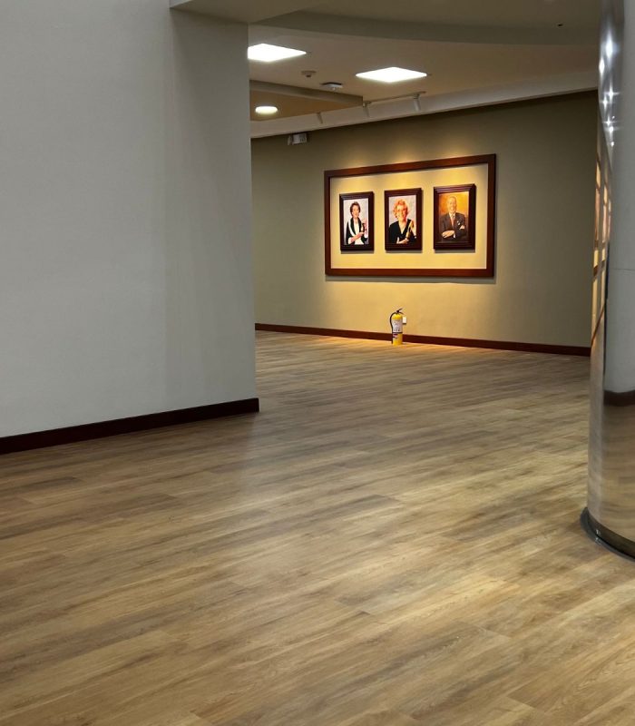 9 Pisos En Vinilo, Pvc, Cerámica, Laminado Y Spc De Las Marcas Nexspc Y Lg Hausys. Pisos Vinilo Vinílicos Ceramicos PVC Laminados SPC